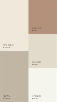 the different shades of beige and brown are shown in this color swat list for interior paint