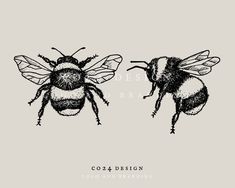 Bee Tattoo Drawing, Bumble Bee Drawing, Bumblebee Drawing, Small Bee Tattoo, Bee Sketch, Bumble Bee Art, Bee Drawing, Bee Illustration