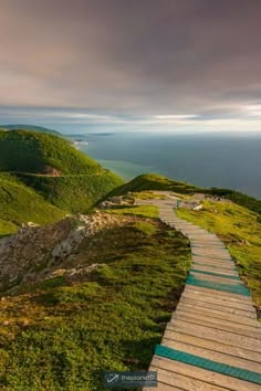 a wooden walkway leading to the top of a grassy hill with ocean in the background