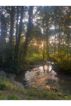 the sun shines through the trees over a small stream in a wooded area with rocks and grass