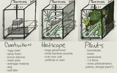 four different types of plants are shown in the diagram, and each has its own planter