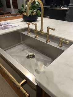 a kitchen sink with two faucets on the side and a potted plant next to it