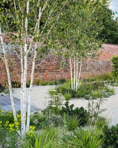 a brick wall and some trees in the middle of a garden with gravel path leading to it