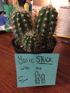 a cactus in a pot with a sticky note attached to it that says you're stuck with me