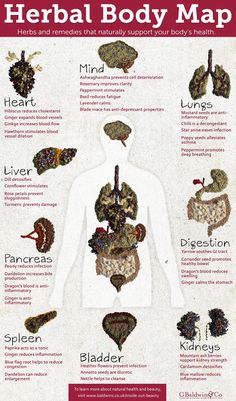 Medical Herbs, Magia Das Ervas, Body Map, Magic Herbs, Natural Healing Remedies, Healing Remedies, Herbal Healing, Herbal Magic, Home Health Remedies