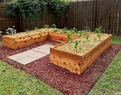 several wooden raised garden beds with plants growing in them on top of mulchy grass