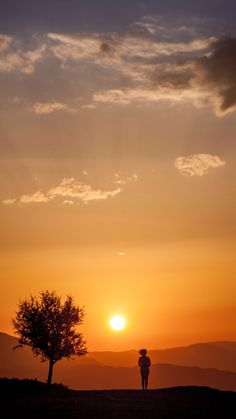 the sun is setting behind a lone tree and two people are silhouetted against an orange sky