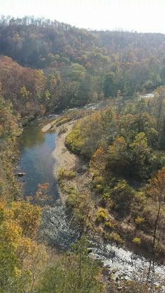 a river running through a forest filled with lots of green and yellow trees on top of it