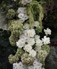 white and green flowers are growing on the side of a building