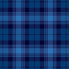 No Sew Projects, Roblox Design, No Sew Fleece Blanket, Making Scarves, Sew Projects, Plaid Wallpaper, Crafts Sewing Projects, Sewing Fleece, Blue Tartan