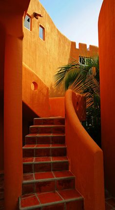 an orange building with steps leading up to the roof and palm trees in the background