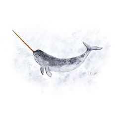 Narwhal Nursery Print Watercolor Creatures, Ocean Nursery Art, Arctic Nursery, Whale Nursery Art, Nautical Nursery Art, Ocean Nursery Decor