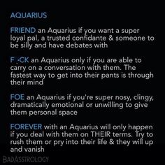 the zodiac sign for aquarius is shown in this screenshoter's image