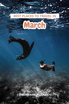 Where to go in March? 🌸 Check out 12 must-visit destinations perfect for spring escapes, unique experiences, and unforgettable memories. #MarchGetaway #TravelIdeas #BucketListDestinations #ExploreMore Places To Travel In March, Ireland In March, Scuba Diving Australia, Australian Beach, Visit Australia, Cities In Europe, Galapagos Islands, Unique Experiences