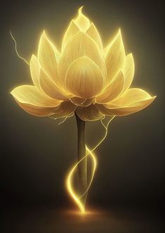 Chic Iphone Wallpaper, 8k Wallpaper Iphone, Wallpaper Iphone Ipad, Ocean Creatures Art, Wallpaper Backgrounds Iphone, Fireplace Tv Wall Decor, Lotus Flower Pictures, Room 2023, Fireplace Tv Wall