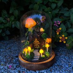 a glass dome with mushrooms and trees inside sitting on the ground next to some flowers