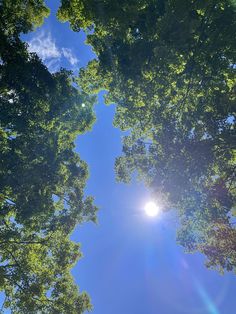 the sun shines brightly through the trees on a sunny day