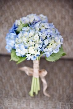 a bouquet of blue and white flowers on a couch