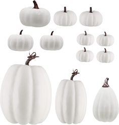 white pumpkins are arranged on a white background