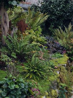 a bench sitting in the middle of a garden filled with lots of trees and plants