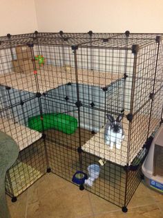 a caged in area with several different animals inside and one cat sitting on the floor