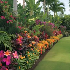 colorful flowers line the side of a long row of palm trees and other tropical plants