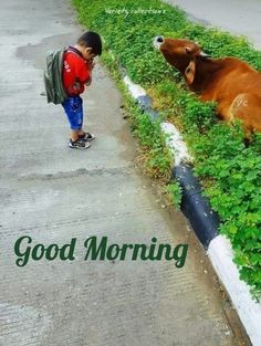 a young boy standing next to a cow on the side of a road with grass growing in front of him