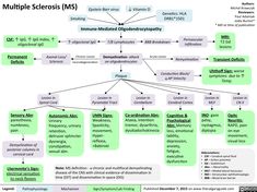 the flow diagram for multiple scleronis mss