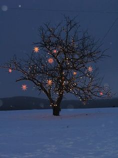 a lighted tree in the middle of a snowy field