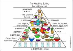 Paleo Food Pyramid, Food Pyramid Kids, Healthy Eating Pyramid, Cereal Bread, Dry Beans, Low Carb Diets, Group Meals, Healthy Eating Recipes