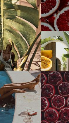 the collage shows different images of fruit and plants