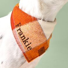 a close up of a dog wearing an orange and white plaid bandana with the words eat bake on it