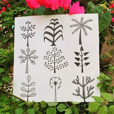 a piece of paper with different designs on it next to some flowers and plants in the background