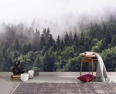 a room with trees and fog in the background, including a rug on the floor