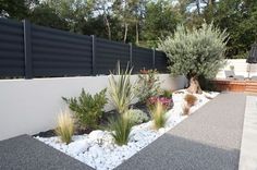 an outdoor garden with rocks, plants and gravel on the ground next to a fence