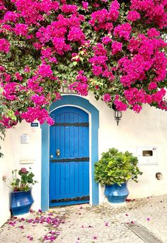 a blue door is surrounded by pink flowers