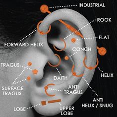 an ear is shown with different parts labeled in orange and black text, including the outer part of the ear