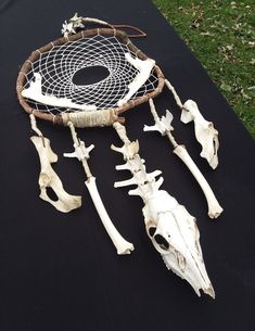 an arrangement of animal bones on a black table cloth