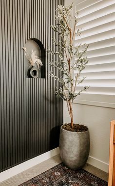 a potted plant sitting on top of a rug next to a wall mounted clock