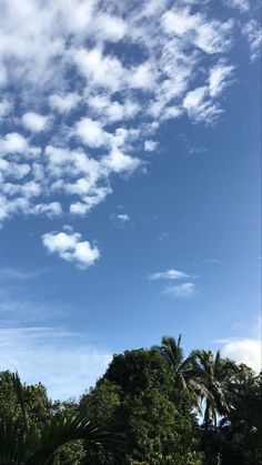 an airplane is flying high in the sky above some trees and palm tree's