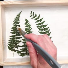 a person using scissors to cut leaves in a frame