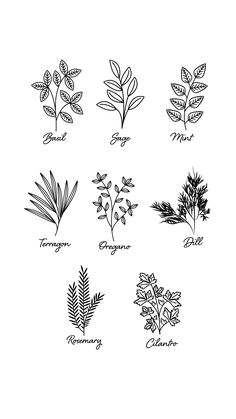 herb svg bundle, gardening stake labels Herb Drawings Simple, Herb Sketches, Garden Svg, Herb Labels, Gardening Gifts, Flower Line Drawings, Doodle Art Drawing