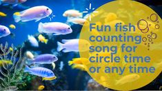 fish swimming in an aquarium with the words fun fish counting song for circle time or any time