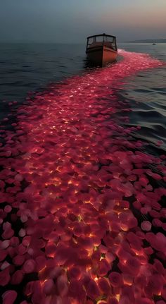 a boat floating on top of a large body of water filled with pink flowers under a cloudy sky