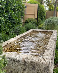 a stone water fountain surrounded by greenery