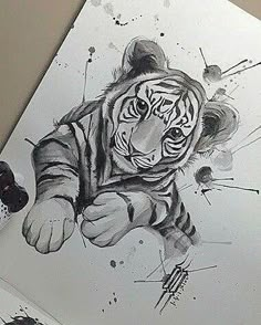 an ink drawing of a tiger on paper