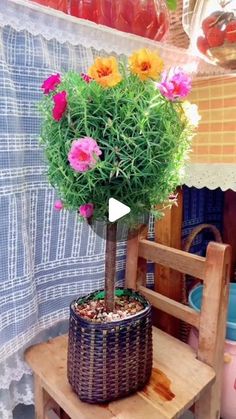 a potted plant sitting on top of a wooden chair