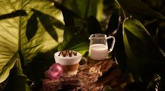 two glasses of milk sitting on top of a tree stump