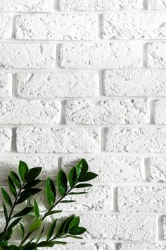 a white brick wall with green leaves on the top and bottom corner, in front of it