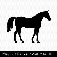 Cards Diy Easy, Horse Png, Laser Cut Designs, Horse Svg, Cricut Designs, Lasercut Design, Art File, Cut Design, Png Format